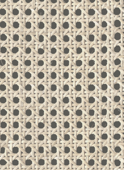 Coordonne Wallpaper Raffias+1 - 9800002