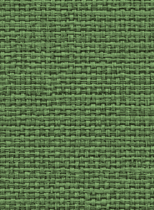 Coordonne Papier peint Raffias+8 - 9800064