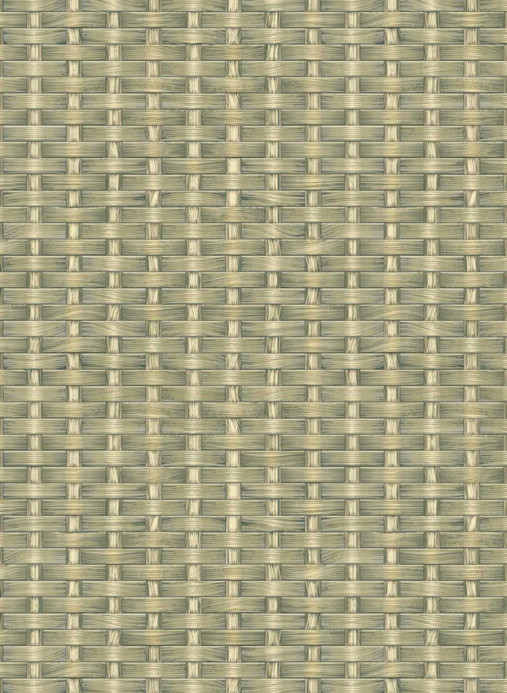 Coordonne Papier peint Kuba Raffia - Leaves