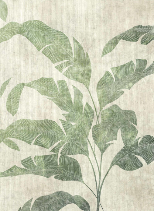 Coordonne Carta da parati panoramica Leaves Shadow - Leaves