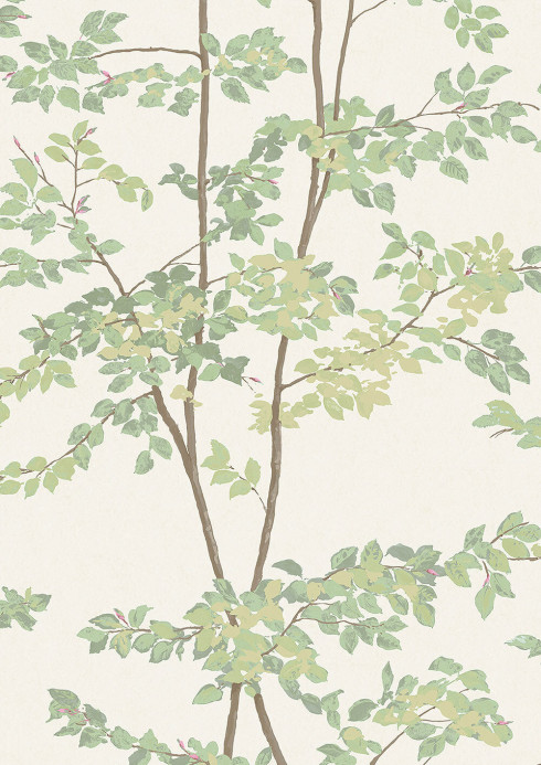 Lewis & Wood Tapete Beech - Document Green