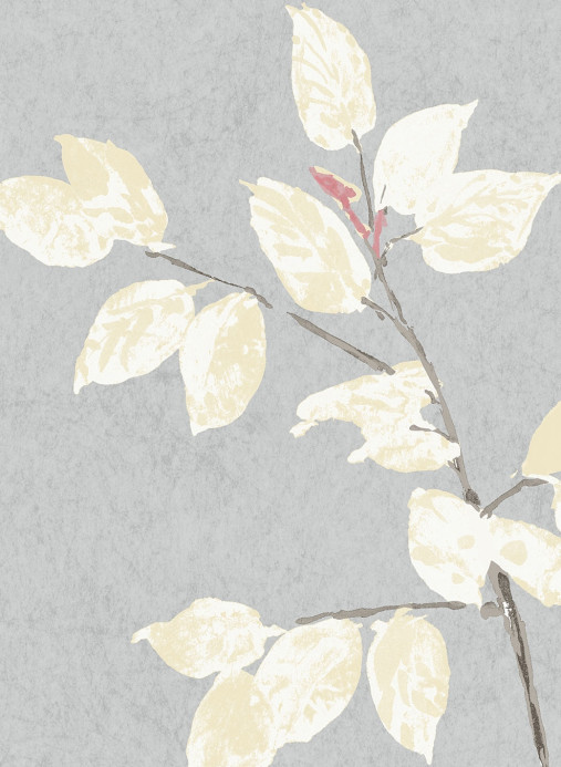 Lewis & Wood Carta da parati Beech - Dove