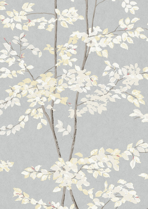 Lewis & Wood Carta da parati Beech - Dove