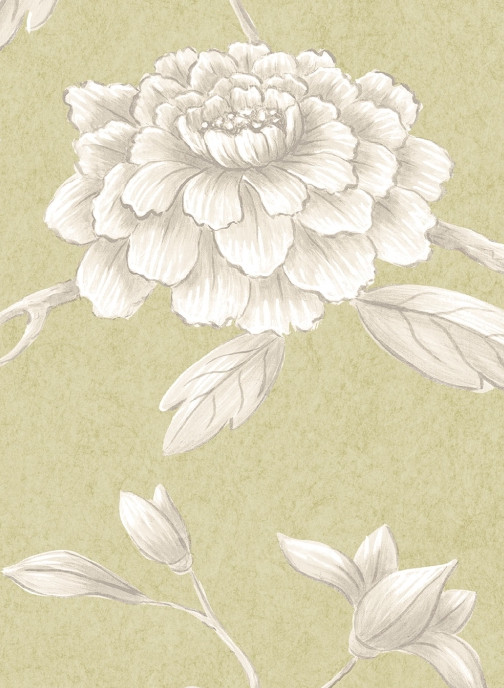 Lewis & Wood Carta da parati Jasper Peony - Beech