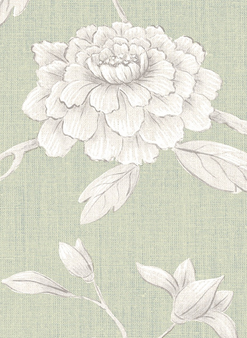 Lewis & Wood Tapete Jasper Peony - Eau de Nil