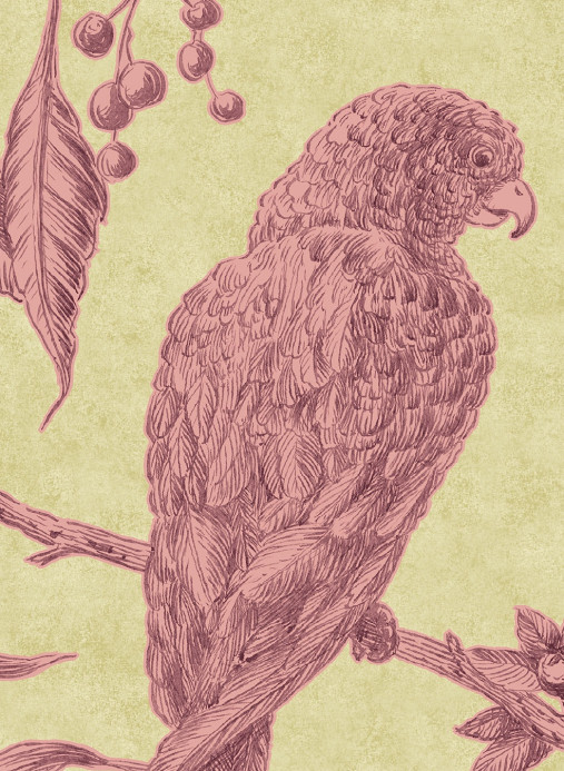Lewis & Wood Tapete Squawk - Cantaloupe