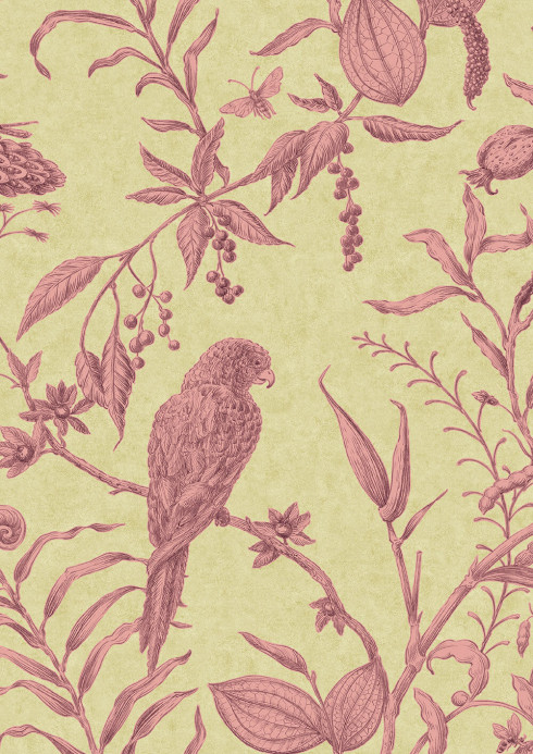 Lewis & Wood Tapete Squawk - Cantaloupe