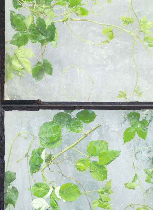 NLXL Tapete Greenhouse - ERG-01