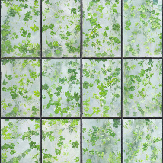 NLXL Tapete Greenhouse - ERG-01