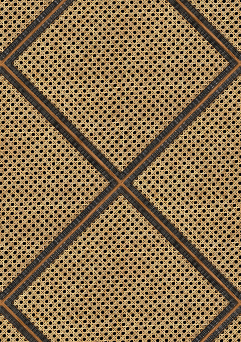 NLXL Carta da parati Framed Webbing - MRV-26