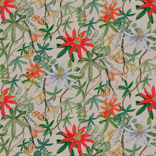 NLXL Papier peint Passiflora