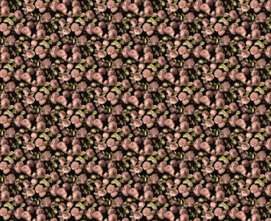 Boråstapeter Wandbild Begonia - 9501W