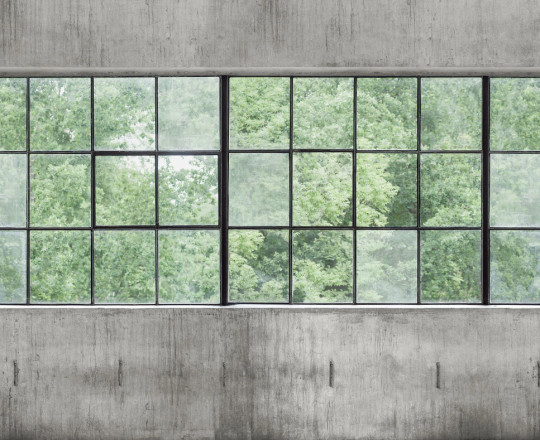 Boråstapeter Studio Wandbild Concrete Wall Windows - 9514W