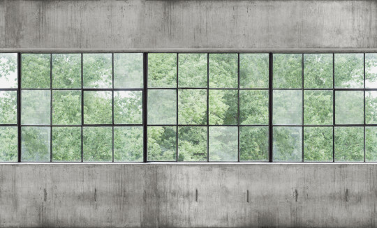 Boråstapeter Studio Wandbild Concrete Wall Windows - 9514W