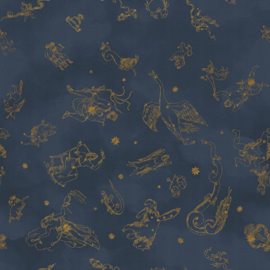 Boråstapeter Studio Mural Constellations - 9561W