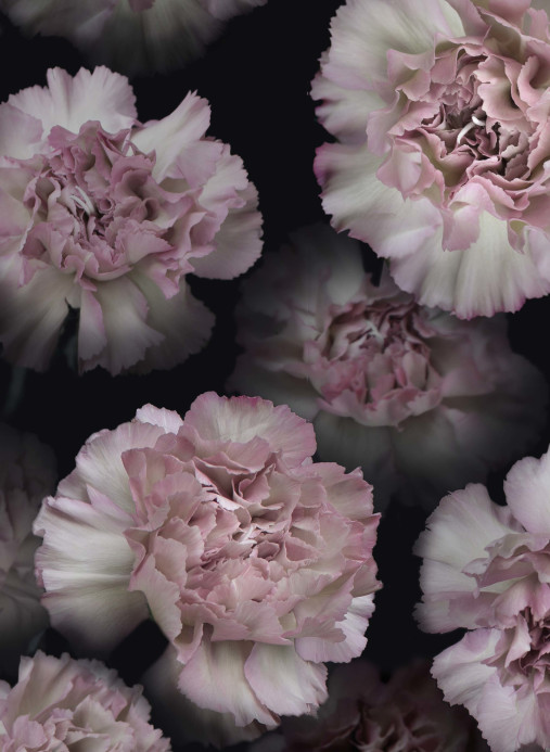 Boråstapeter Studio Papier peint panoramique Coronation Marie - 9516W