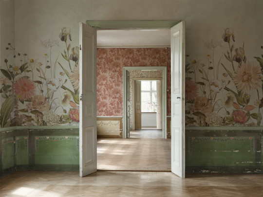 Boråstapeter Studio Mural Dahlia