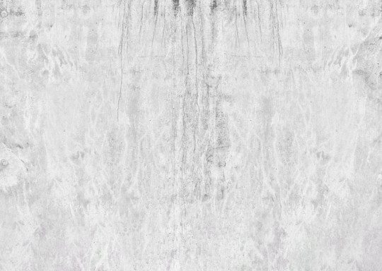 Boråstapeter Studio Mural Dark Concrete