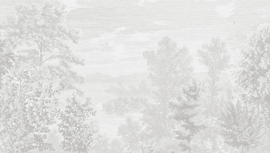 Boråstapeter Studio Wandbild Etched Landscape - 9475W