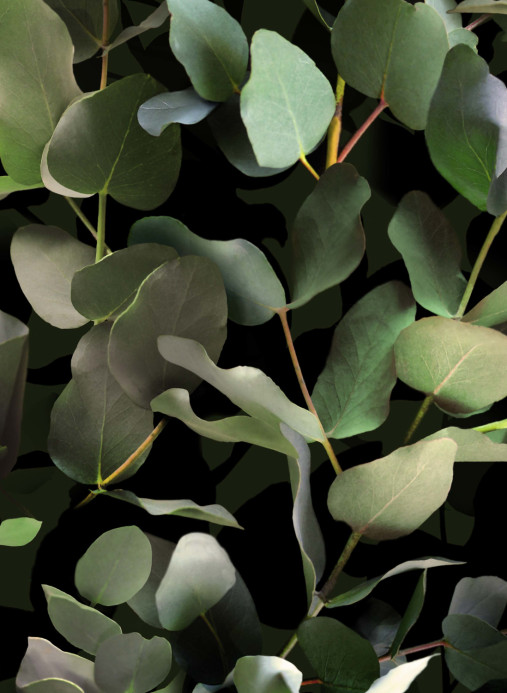 Boråstapeter Studio Wandbild Eucalyptus - 9523W