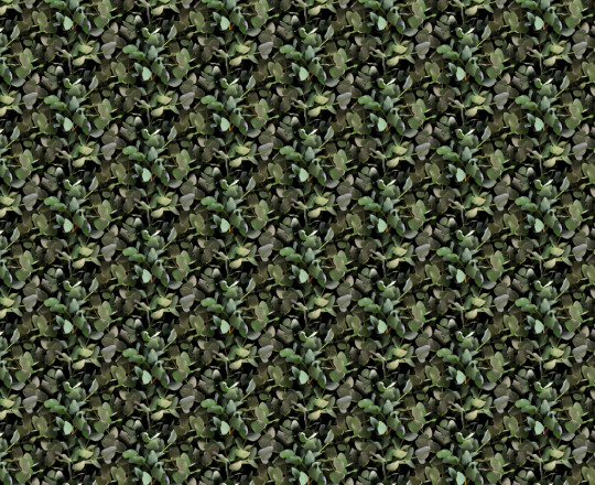 Boråstapeter Studio Mural Eucalyptus - 9523W