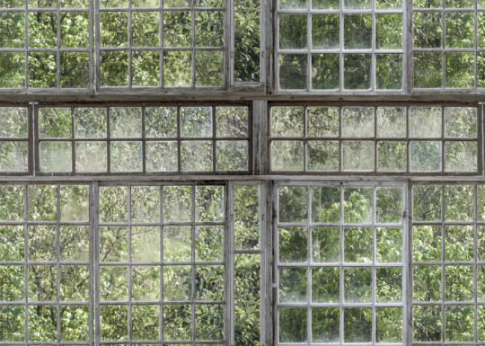 Boråstapeter Studio Papier peint panoramique Greenhouse