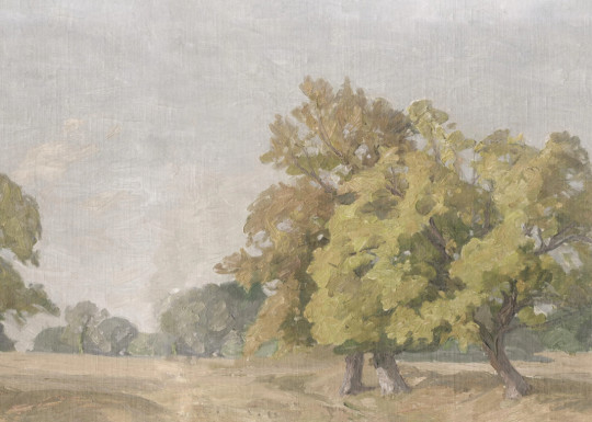 Boråstapeter Studio Mural Hedgerow Landscape