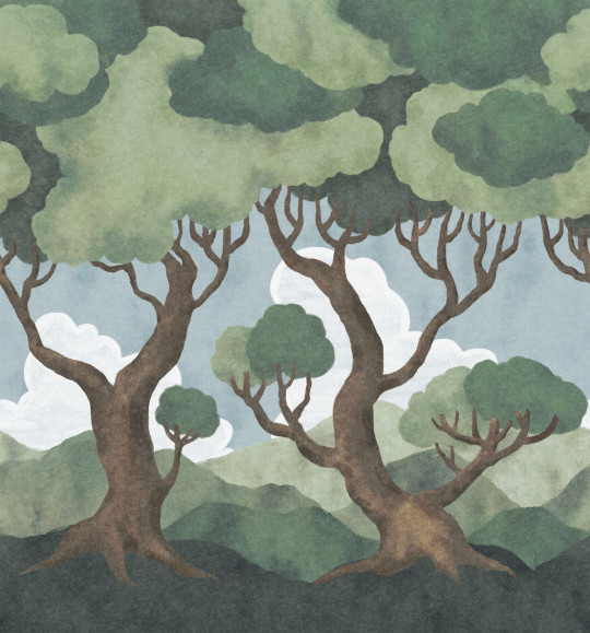 Boråstapeter Studio Mural In the Forest - 9619W