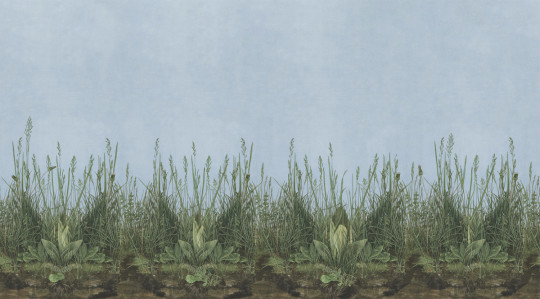 Boråstapeter Studio Wandbild Morning Mist - 9473W