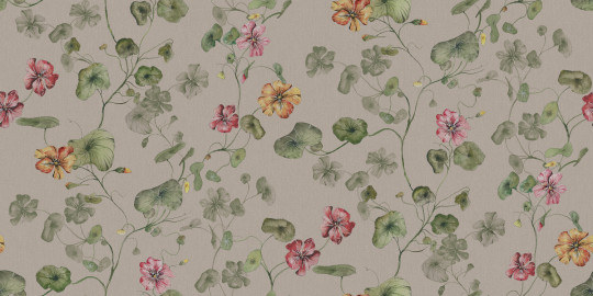 Boråstapeter Studio Wandbild My Feldt Trädgårdskrasse