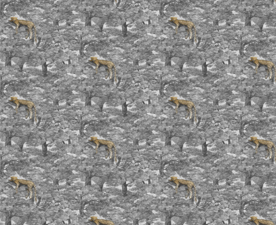 Boråstapeter Studio Wandbild Samburu - 9572W