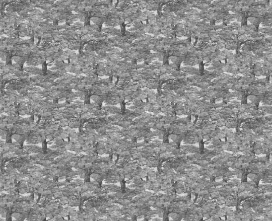 Boråstapeter Studio Mural Samburu Tree