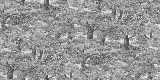 Boråstapeter Studio Mural Samburu Tree