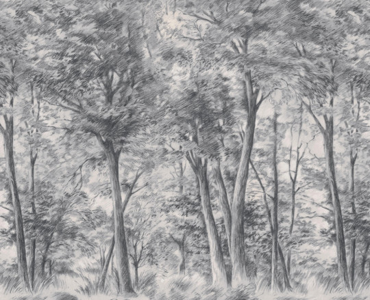 Boråstapeter Studio Mural Sketch of Trees