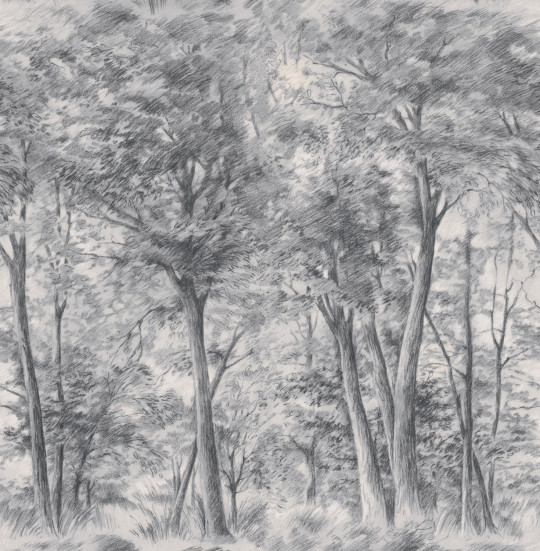 Boråstapeter Studio Carta da parati panoramica Sketch of Trees - 9630W