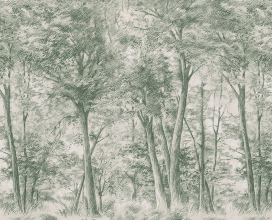 Boråstapeter Studio Mural Sketch of Trees