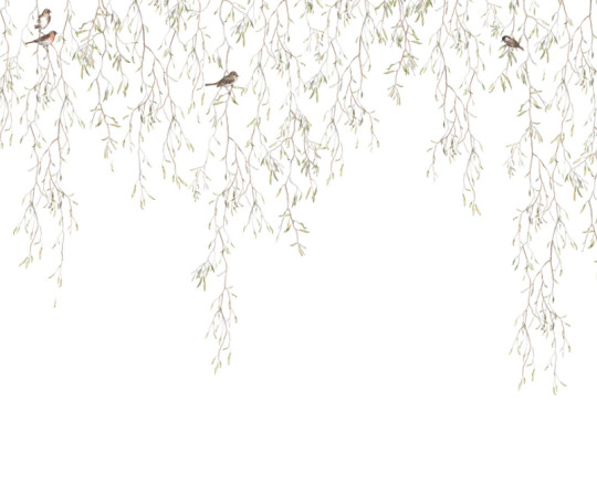 Boråstapeter Studio Mural Spring Birds