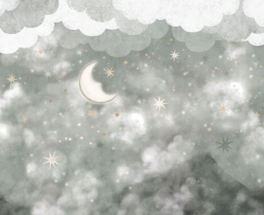 Boråstapeter Studio Mural Stars in the Sky