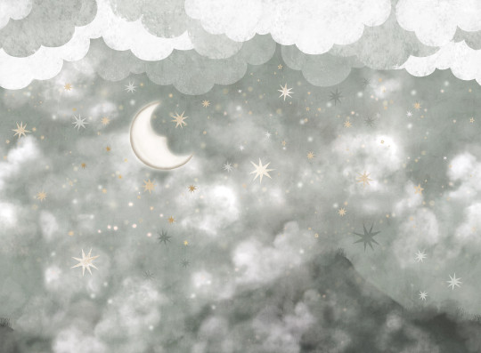 Boråstapeter Studio Mural Stars in the Sky