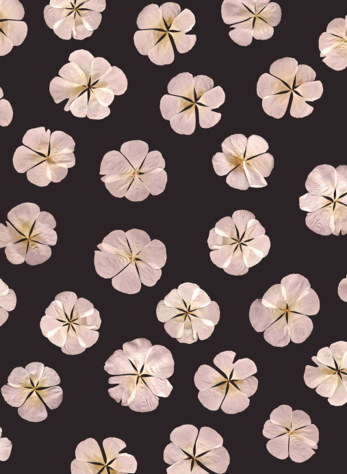 Boråstapeter Studio Wandbild Sweet White - 9545W