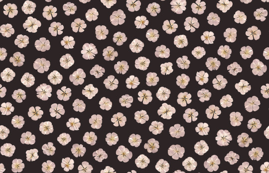 Boråstapeter Studio Mural Sweet White