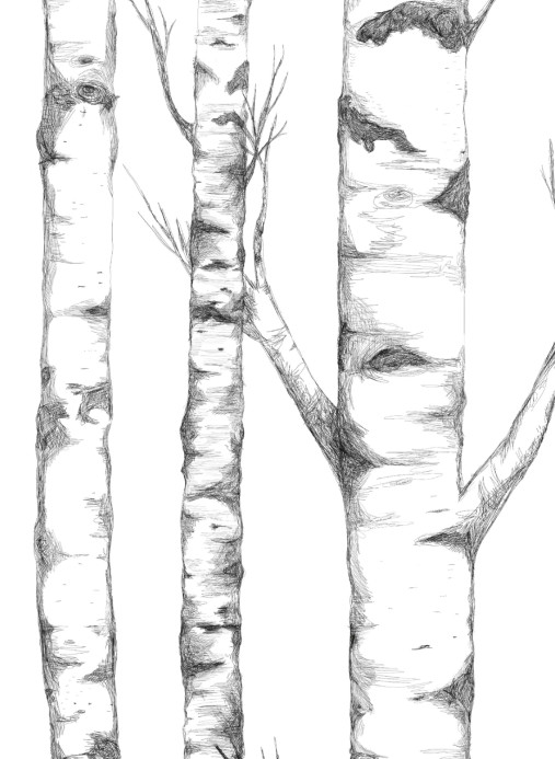 Boråstapeter Studio Wandbild Tree - 9451W