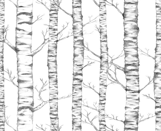 Boråstapeter Studio Carta da parati panoramica Tree