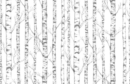 Boråstapeter Studio Mural Tree