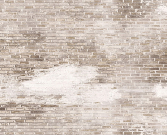 Boråstapeter Studio Wandbild Weathered Bricks - 9535W