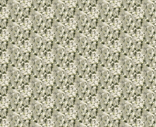 Boråstapeter Studio Wandbild White Lily - 9551W