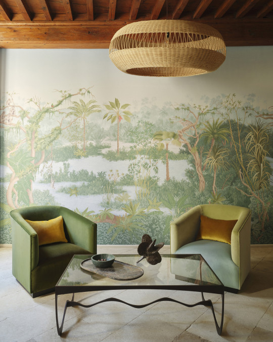 Manuel Canovas Wandbild Borneo