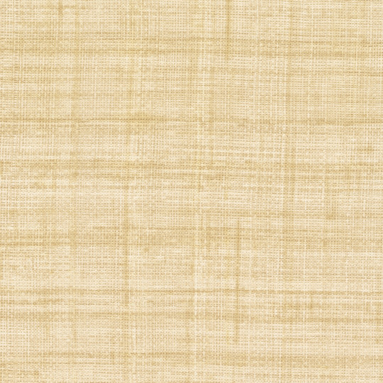 Élitis Tapete Abaca - VP 983 05