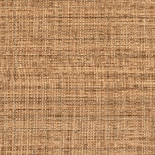 Élitis Papier peint Abaca - VP 983 17