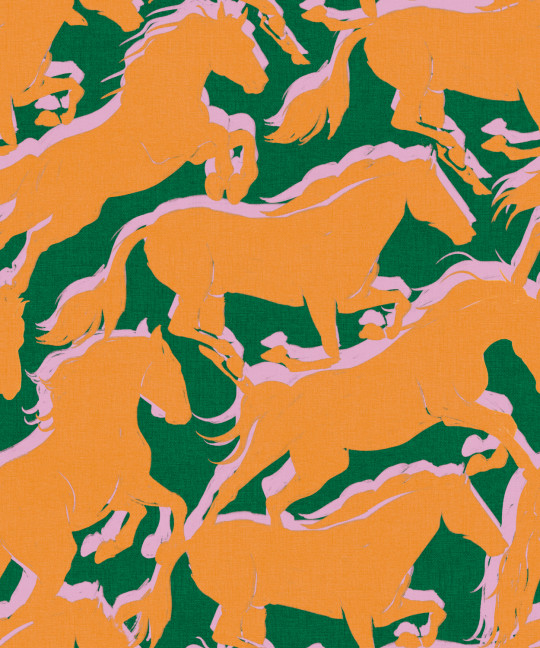 Coordonné Tapete Galope - Hummingbird